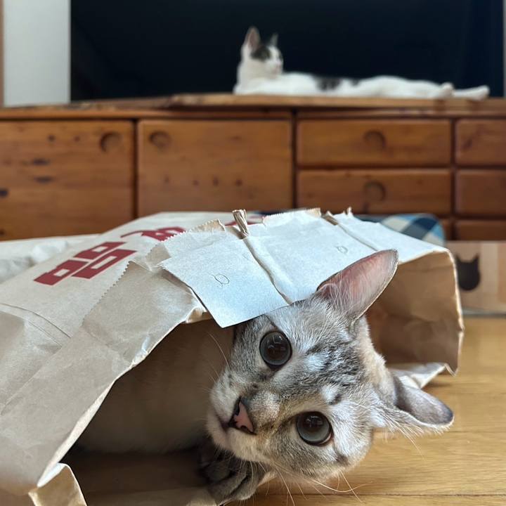 244fc446 f3b0 4922 964c 84c7dda7c44a 1753826260896