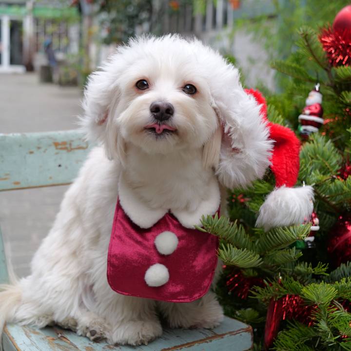 244fd3cc 2a42 4668 9040 3129808f7e2d 1766697776371