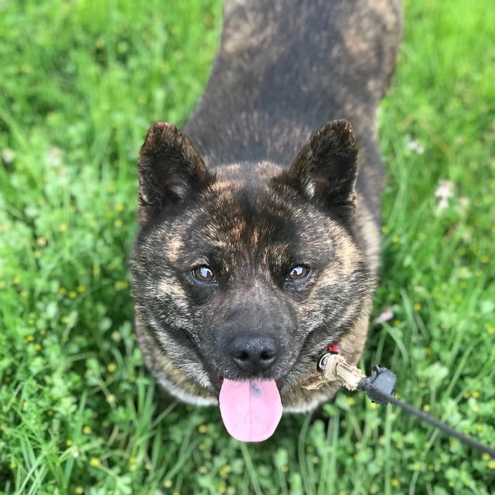 244fe13a 2a12 4e2b 87f5 81871f46bd73 1526464193740