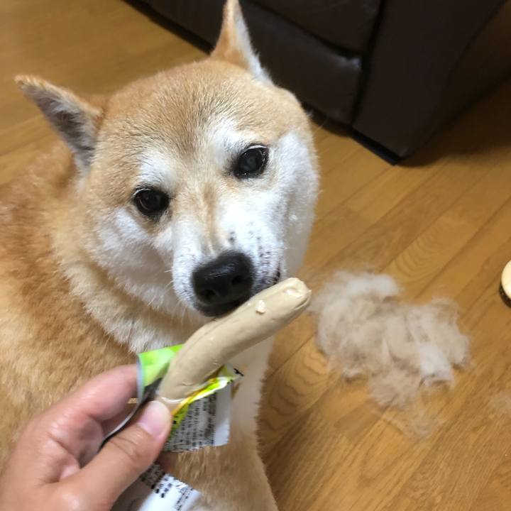 244ff8af db88 437c b4fe c1ae19fbdbd9 1560858188200