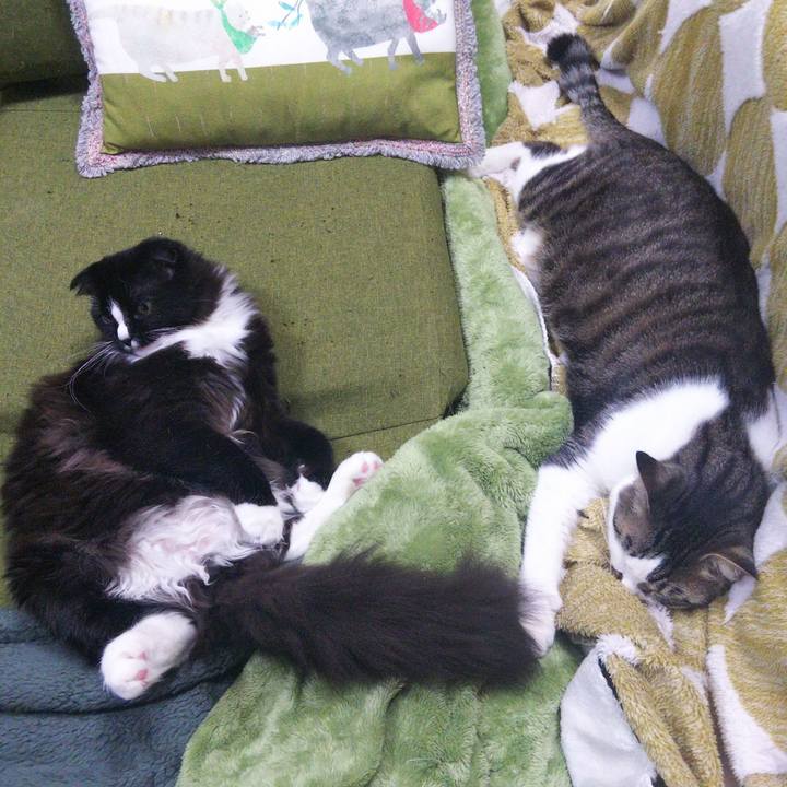 245001d1 d2a7 4f42 a2a5 78b269dd05eb 1648521513972