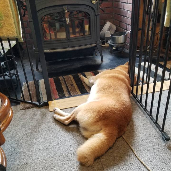 245031c7 060f 4c12 9393 6943aa0ff710 1605224633224