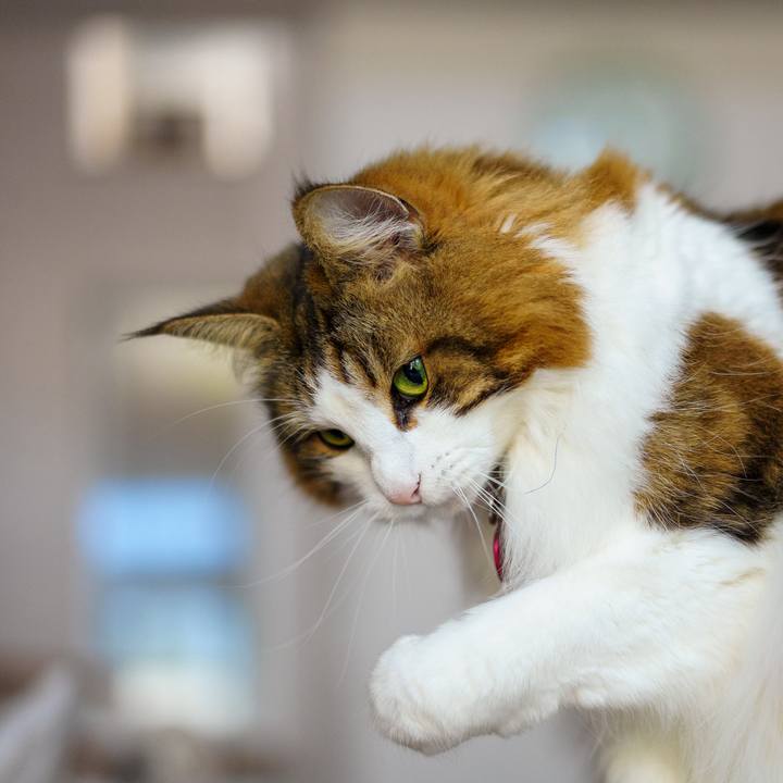 24504ee2 a185 4381 8686 37f7416bfea6 1708930384436