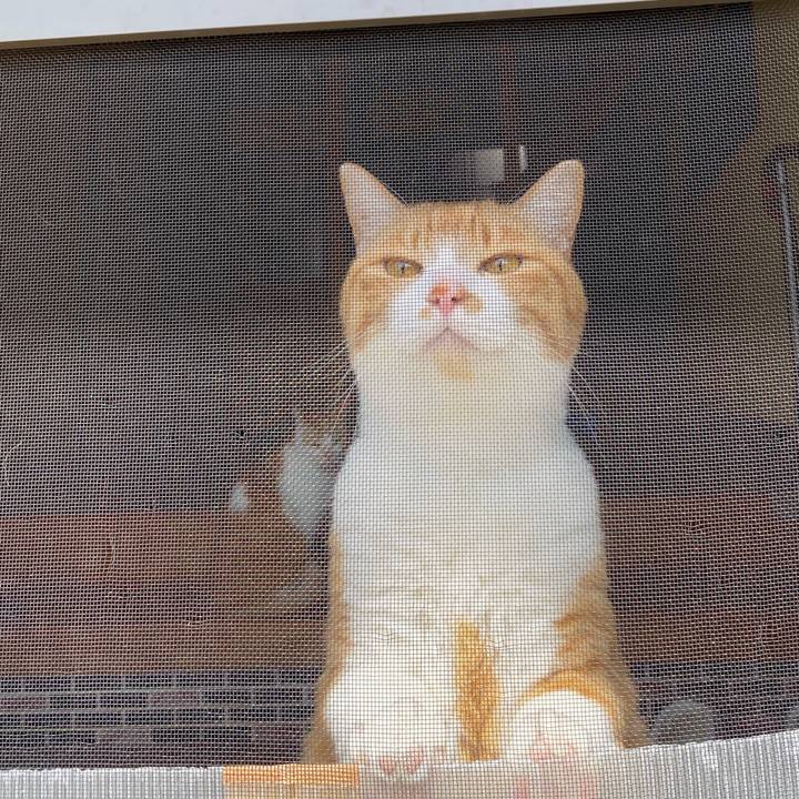 2450562a fb40 4867 b437 496b2bfeafd6 1648377324643