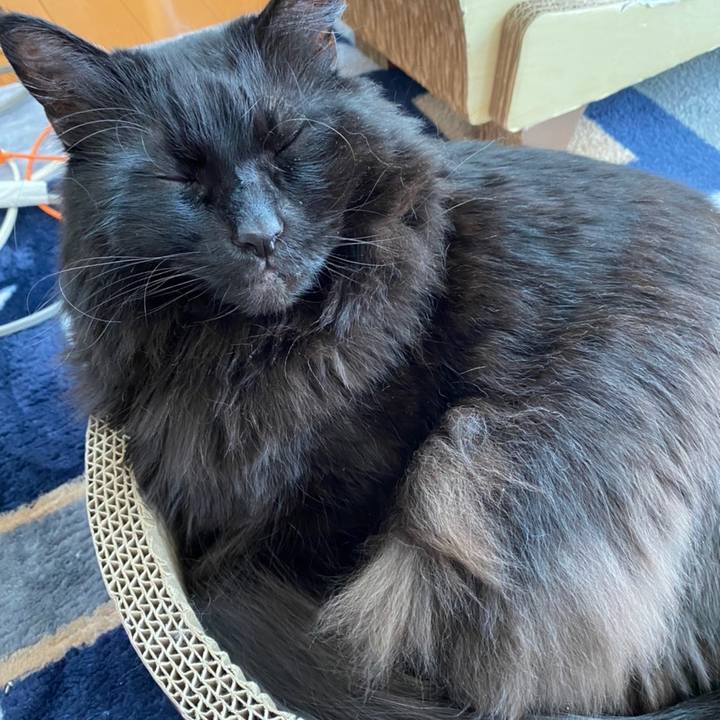 24506466 ebad 4f35 848d 603143d7e16c 1613002220199