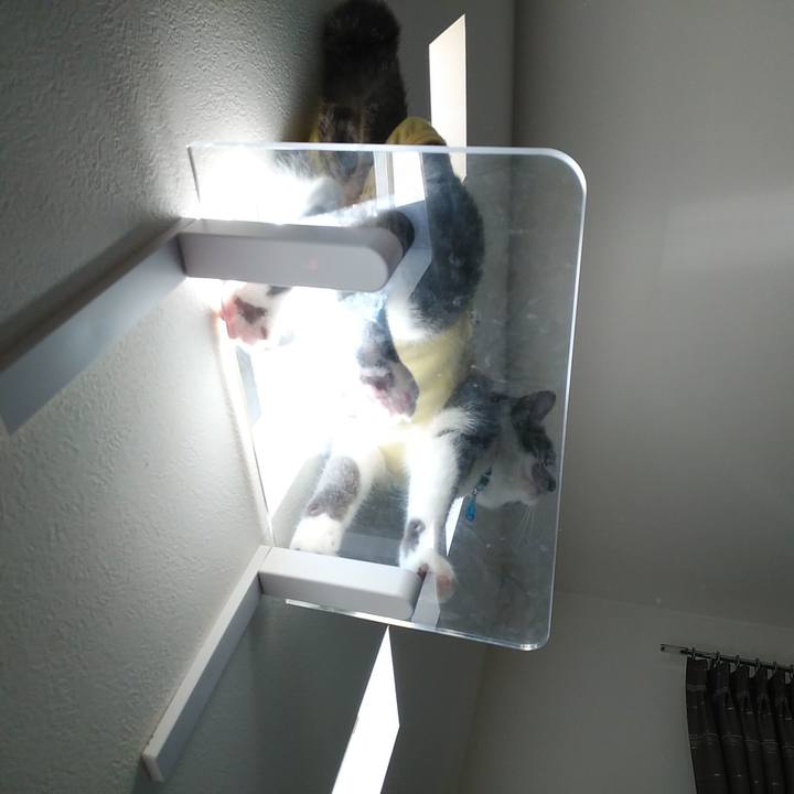 2450650b 66f4 421d b3aa 8c9e14f79b4e 1585093742172