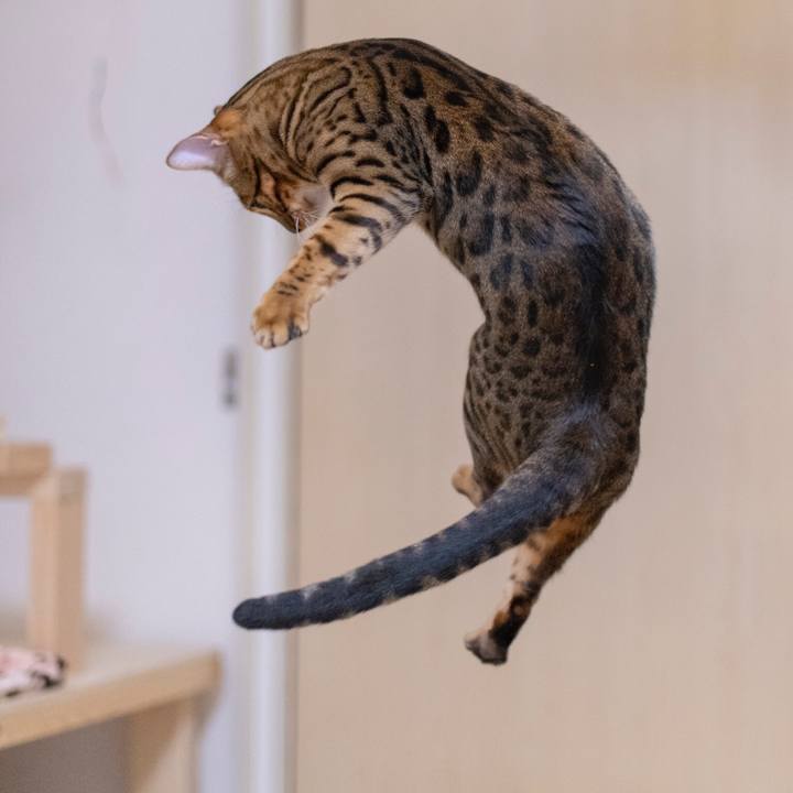 245074f1 850c 4f25 a8bb 1e8407691d8f 1530797008312