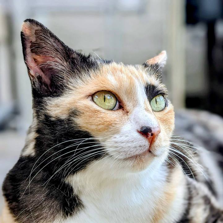 24509cf4 699c 479f ab3e 4bebe22d4dd0 1758454284990