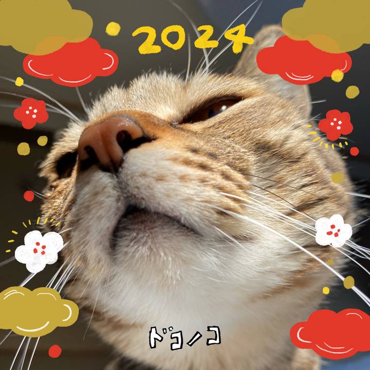 2450ad98 ba7b 4509 9037 3b18b80d611f 1704492890208