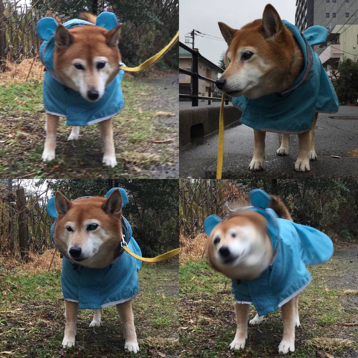 2450ae97 daaa 48b7 add6 6e6e9f6fc66a 1641863356248