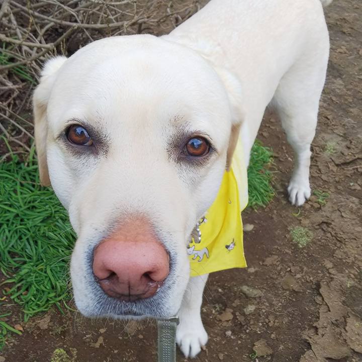 2450af84 f5f3 4f89 89e6 66fc4976c9ee 1580802238842