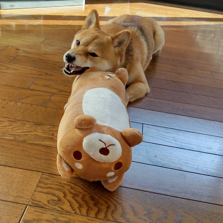 2450b6d9 1bc2 4d80 8275 ec81136183f4 1642552126878