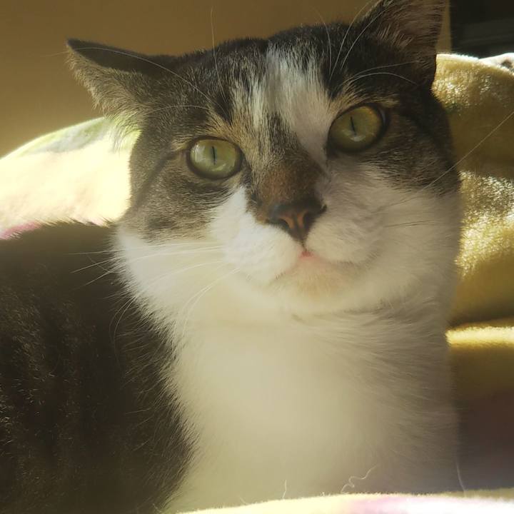 24514837 98e6 48c2 a83f 8b5f88d57907 1609300356342