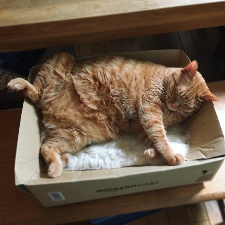 2451641d 8508 4ddd b3a0 da34f353dde5 1589503649341