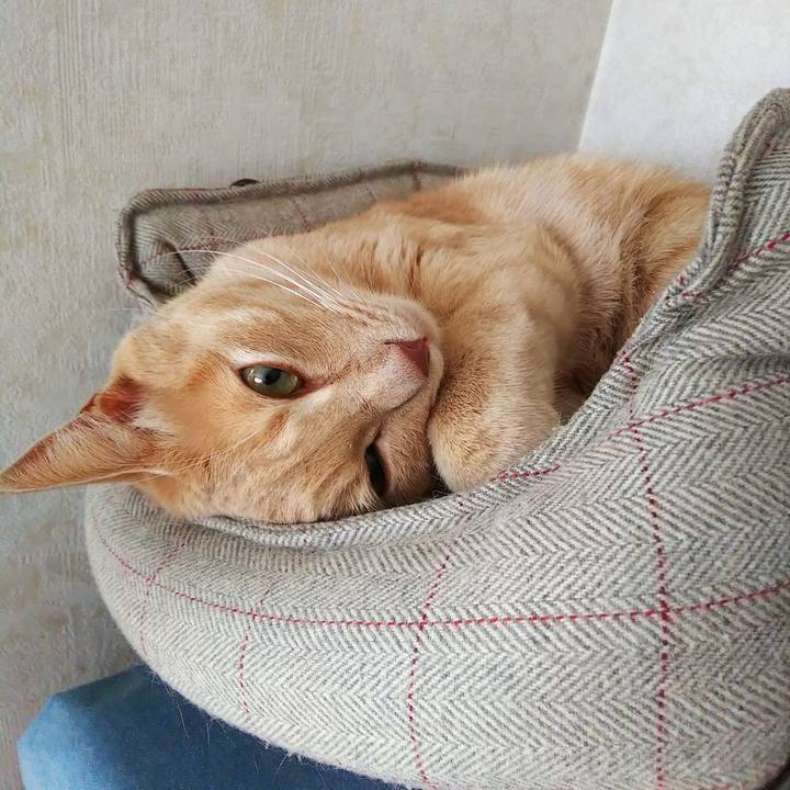 24519a0a 9533 4c51 98ea 39cdc64c139e 1600234855594