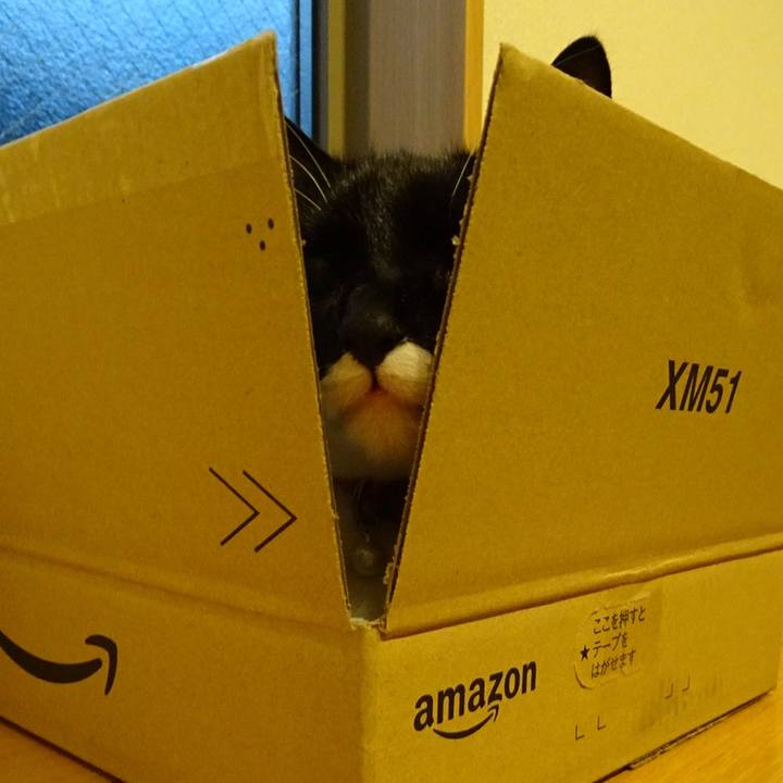 2451ad94 5551 44b6 9361 9eb3e4c09ef7 1525309025054