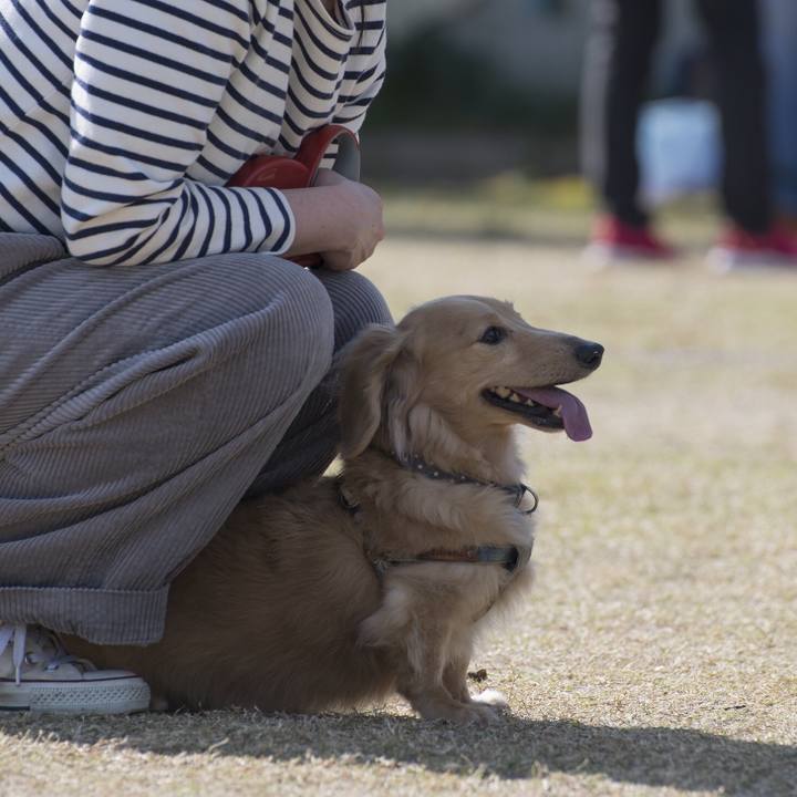 2451d38a 8ea9 4ad7 9e2b f61dc0e54dfb 1542557903700