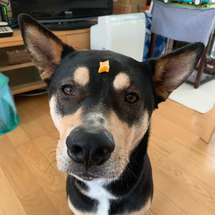 2451dbc3 64a1 473a 8360 10348a5e84c6 1549337878985