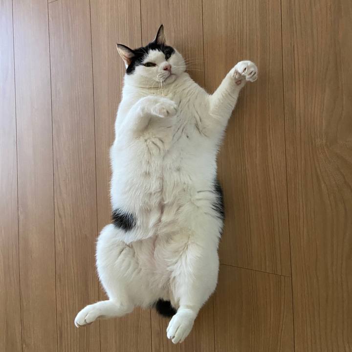 2451de7d 0ef3 44e6 8ca5 c3f7c51c92c0 1588153898592