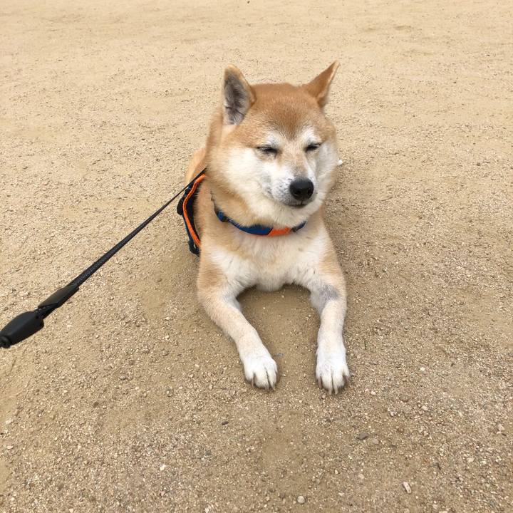 24520a7a 18b6 47e6 bad2 b2ebb12c88a2 1559604002377