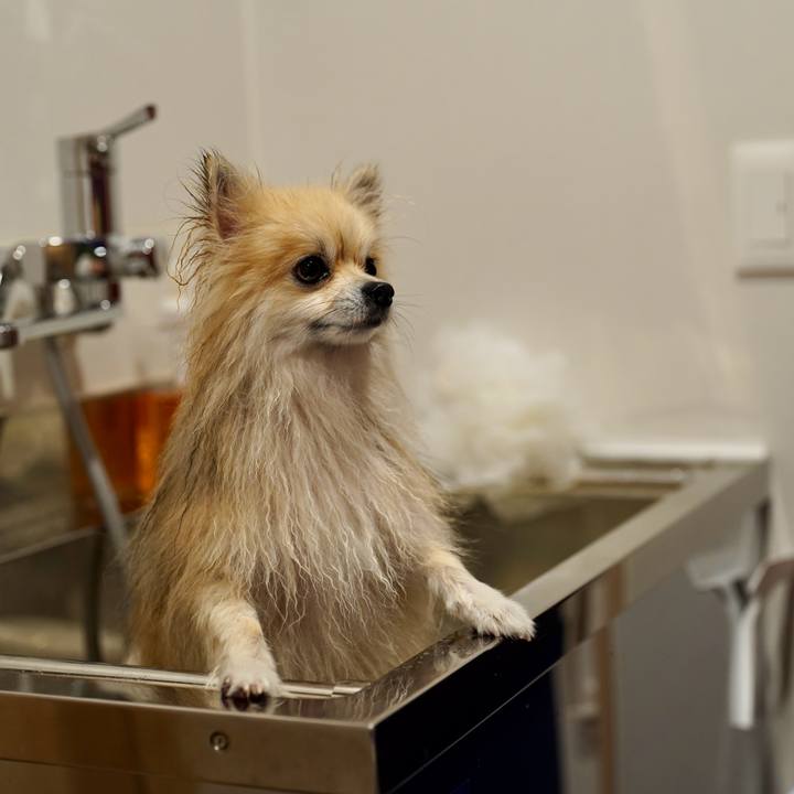 245224e4 5901 4604 9820 9c22943446ac 1761477921186