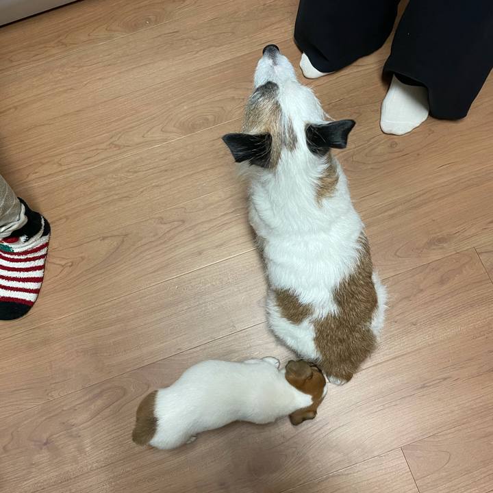 24523bb0 9f31 4643 8737 5add7e1b788b 1614728528401