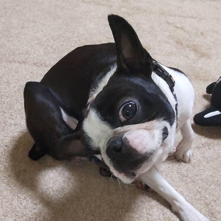 24524338 06ac 4dcf b2bb 788f36055c49 1616500942504