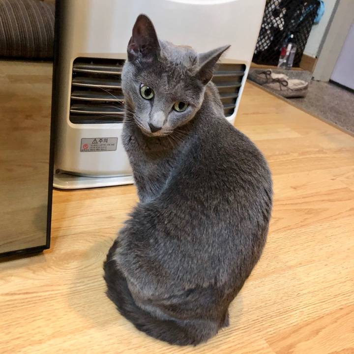 24524893 e2f0 4479 b792 ef742a90b756 1605227231456