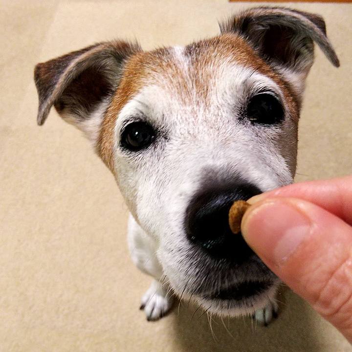 2452a9c2 2041 47f1 82d2 83c7e41b7779 1594035138055