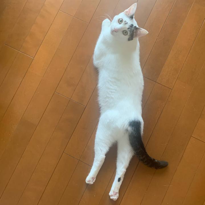 2452cf66 df99 481c bb0c 9f39baa7dbe4 1621982572398