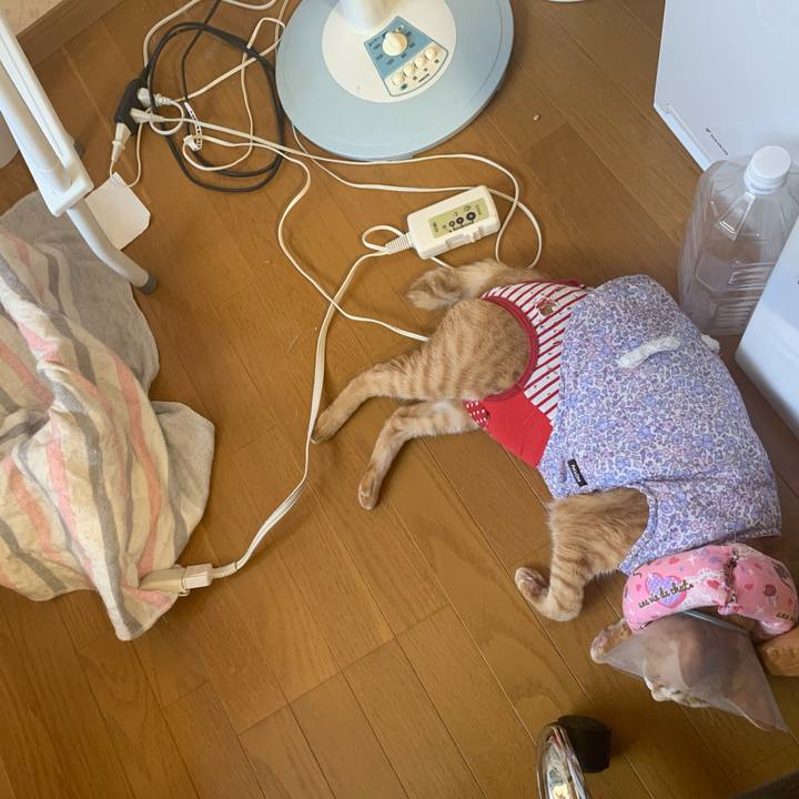 2452f7f2 8828 4dac 8f48 8639dc752e2d 1622354411689