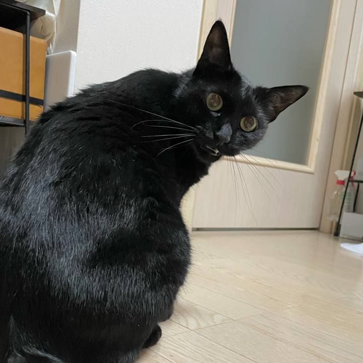 24533cc7 62d4 4aae 8329 697dc5b939df 1666357582693