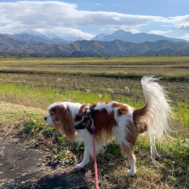 245341f6 2b0b 4fd7 a776 fcb2c11ba6f2 1604547166224