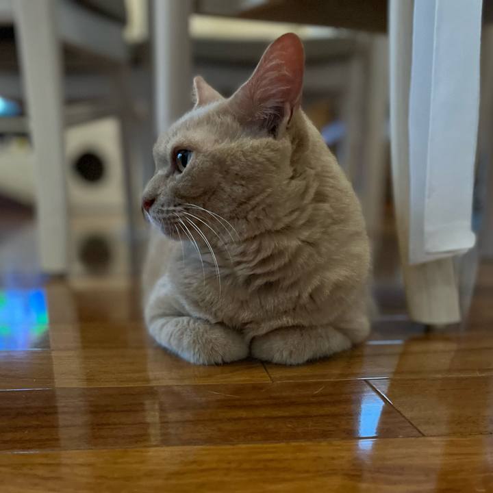 24535047 e7bc 42b0 85a3 182c9aa64d75 1662068539475