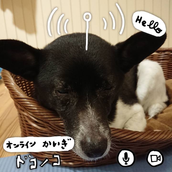 24537d33 9925 49d7 b64e be17434495ce 1590757403831