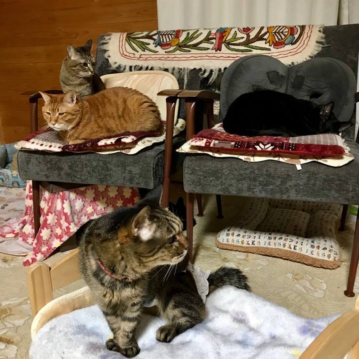 24539761 e7e6 4c5f aa2f 5c514be0d7d5 1547034769079