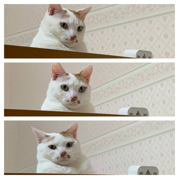 2454369d 565f 402d 91b5 fda19c76baec 1643287685561