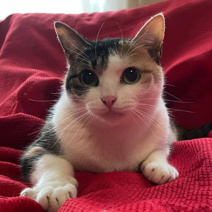 245469ed 77e2 4092 9efc b11c373cd6dc 1615325380282