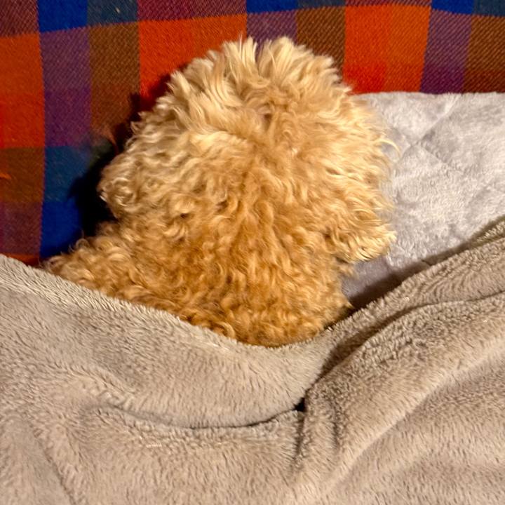 24546bd3 9836 46c6 8cc2 ecdf61ff9c39 1768913037649