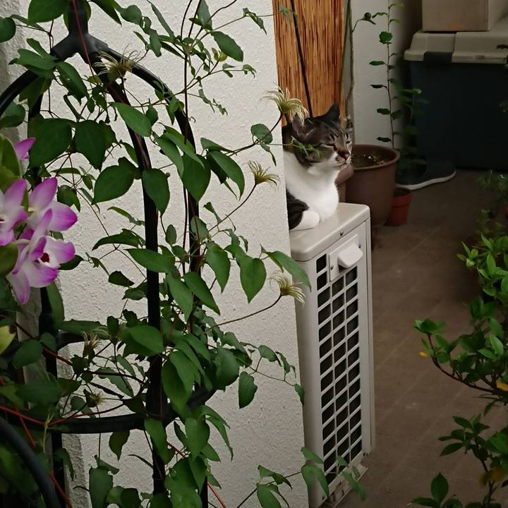 24547459 7a70 45bf 93cc 7f3837bf1151 1528760232470