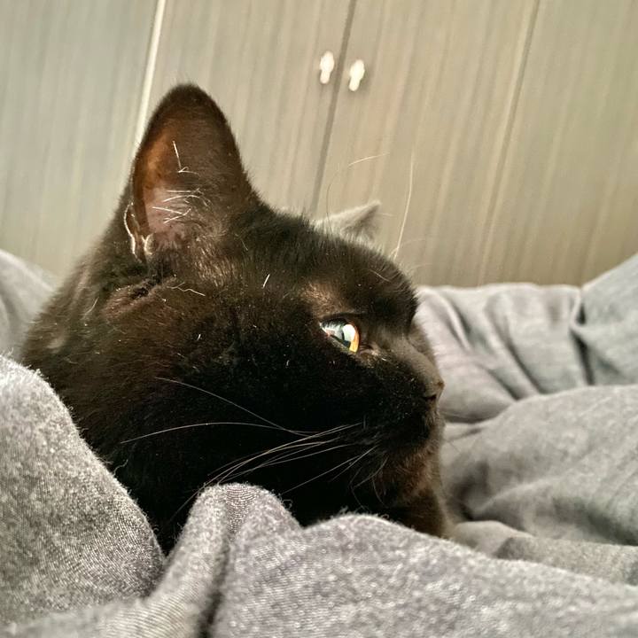 2454771e 56f9 4c0b b9c4 6310577a3683 1683153284529