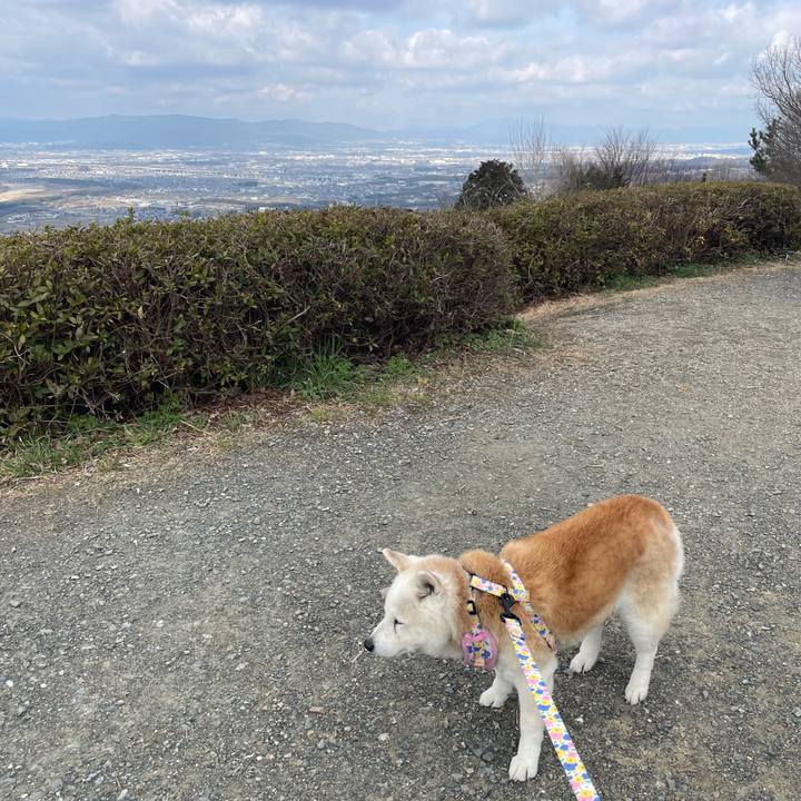 2454a66f e05c 47e5 8039 cc103799ffc7 1707652047517