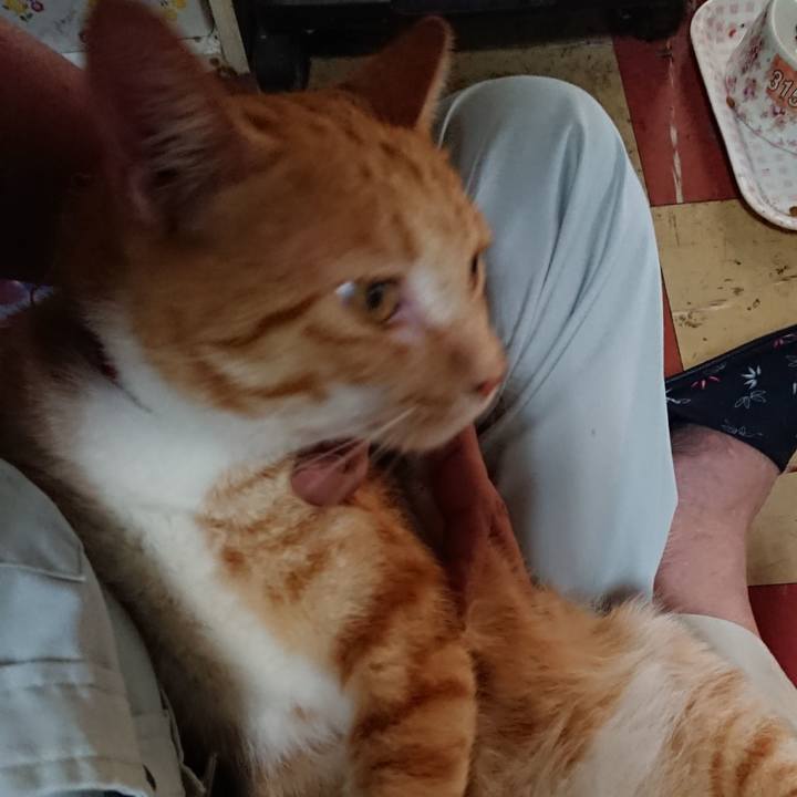 2454b40f 5d0a 4a38 9568 fe1787bd8a0c 1565301117859