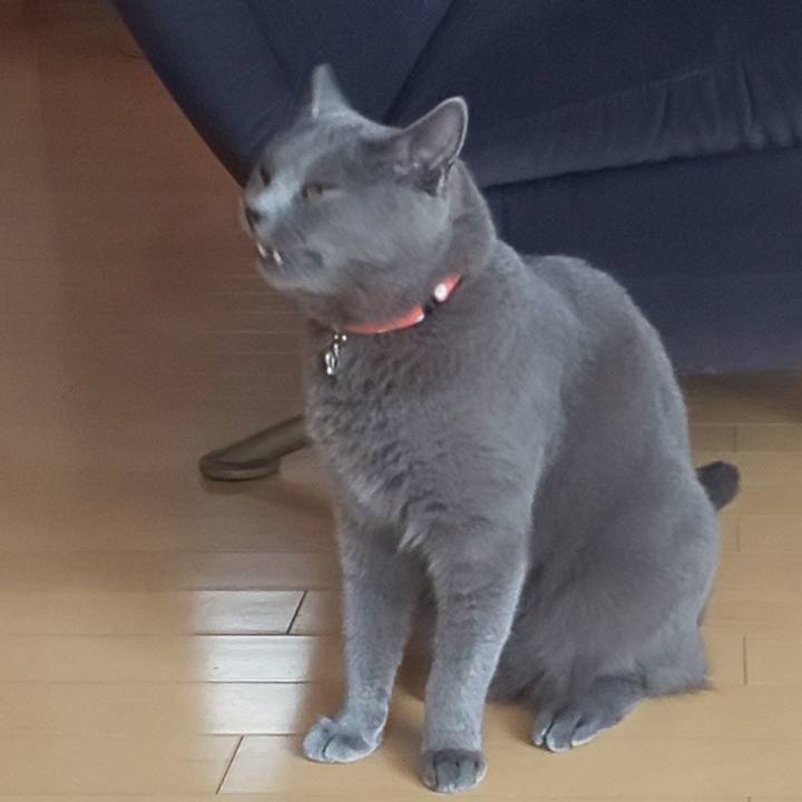 2454e00c f760 4888 9b65 0386e36116ba 1540799410878