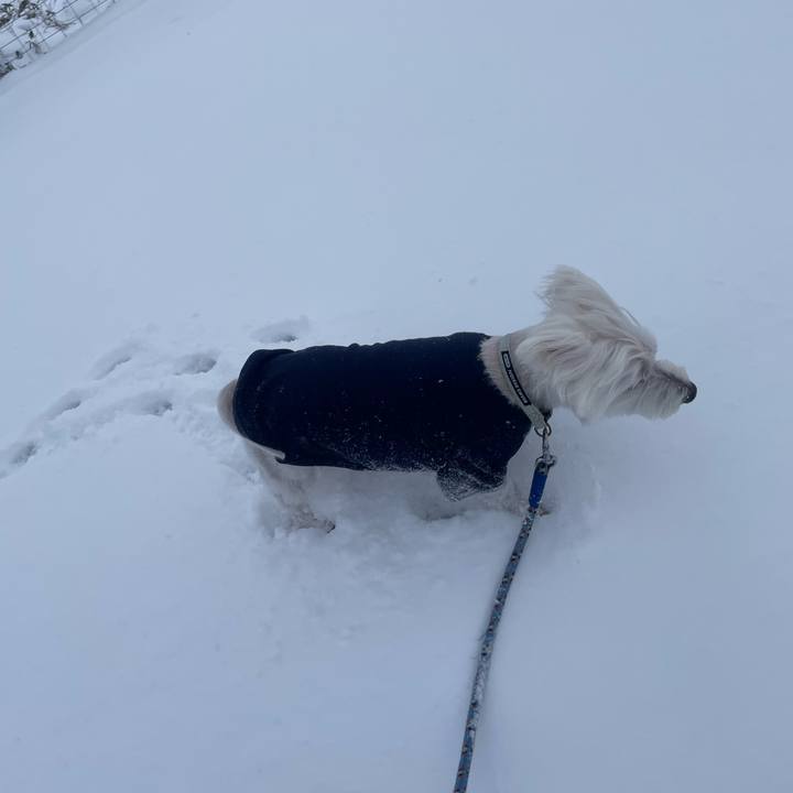 2454e90c c332 4612 ac6f efe6edd41d9e 1769319027072