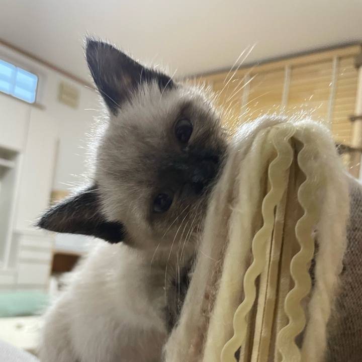 24550682 2d15 498b 9ecf 5423c2e49438 1686772593034