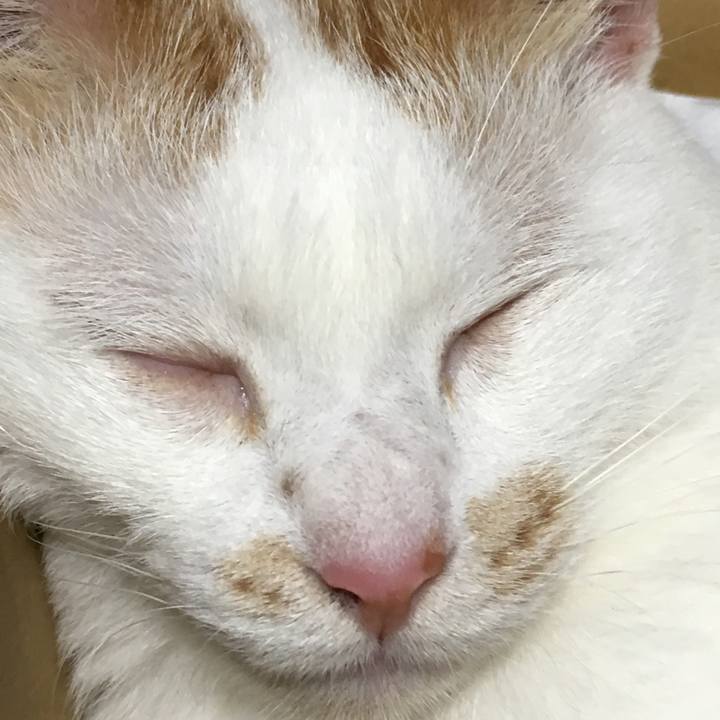 24551ef6 1e1f 444f bdd2 cefc420e008f 1564834207535