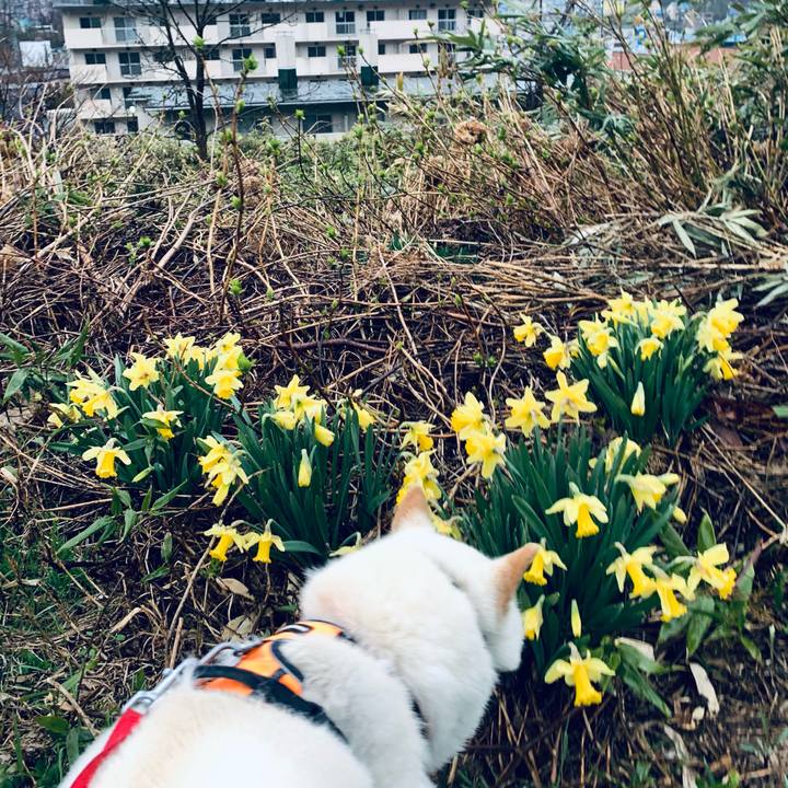 24552687 ffae 4d81 bf04 1cd7fbf48aed 1619728862197