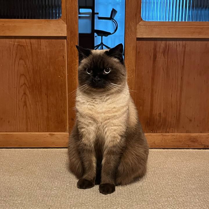 24552ff9 62d8 4410 8e4b 8727583680db 1641902275207