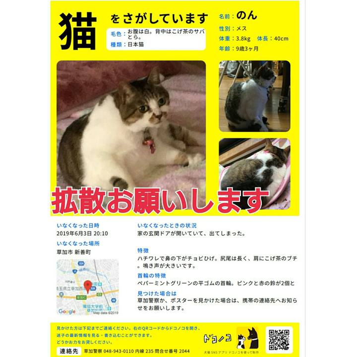 24558295 c6f5 44a7 92dd 61ecaa497554 1560091717792